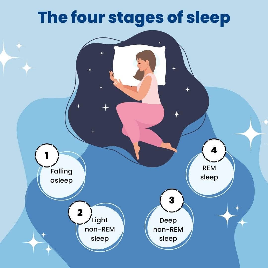 4 stages of sleep The four stages of sleep